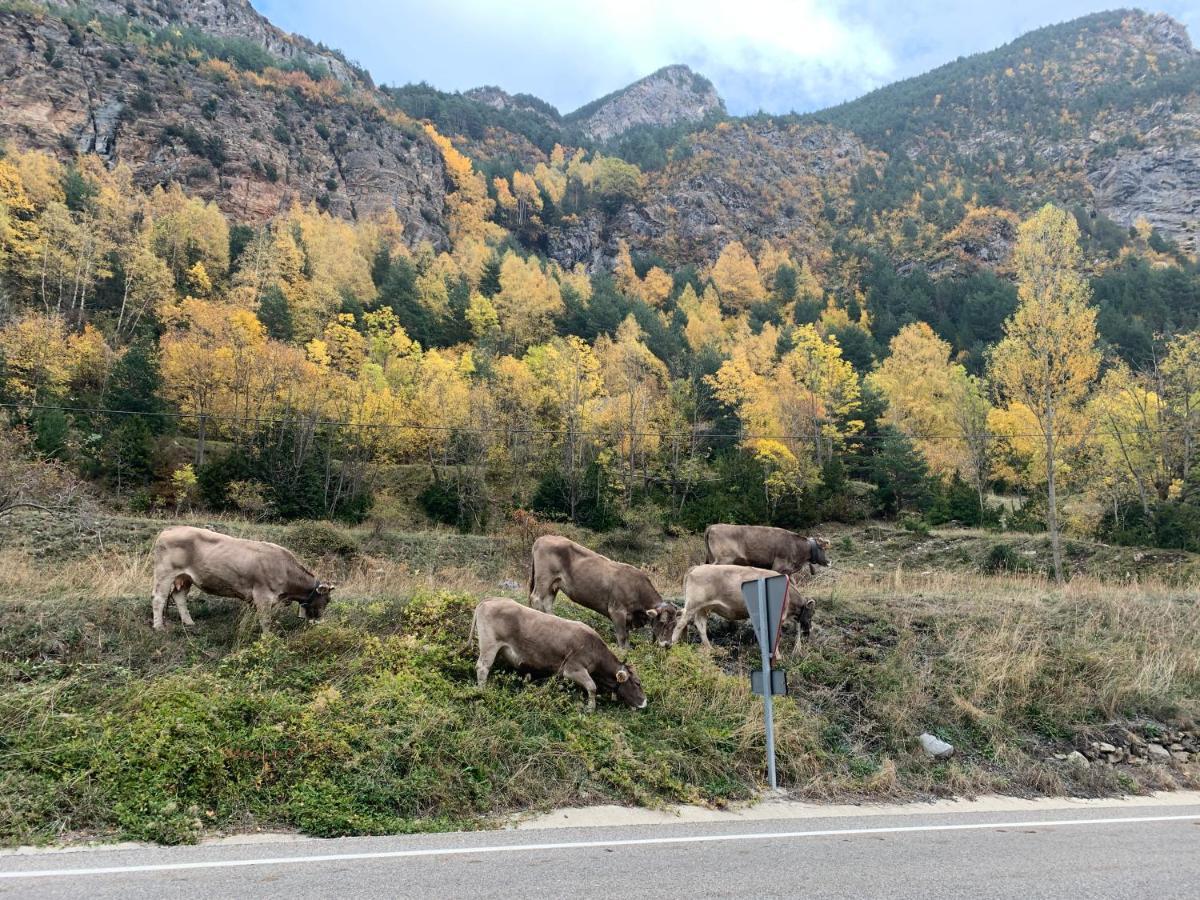 Chalet En El Pirineo De Aragon Neril Zewnętrze zdjęcie